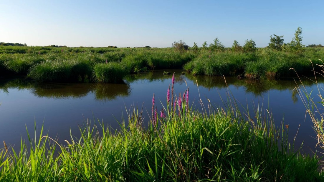 Ce parc naturel de 54 800 hectares à 30 minutes de Nantes regorge de trésors cachés