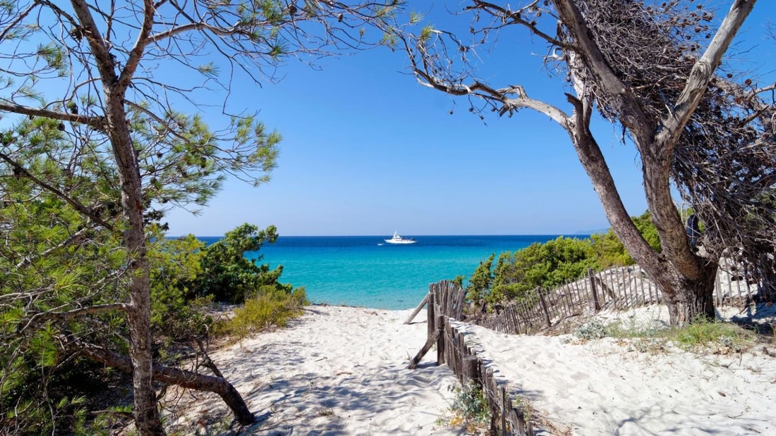 Sable blanc, snorkeling, farniente... Découvrez la plus belle plage confidentielle de Corse !