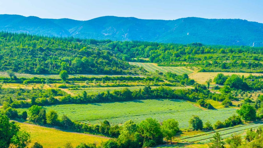 Ces 10 écrins verts vont vous faire aimer l'automne en mode éco-responsable