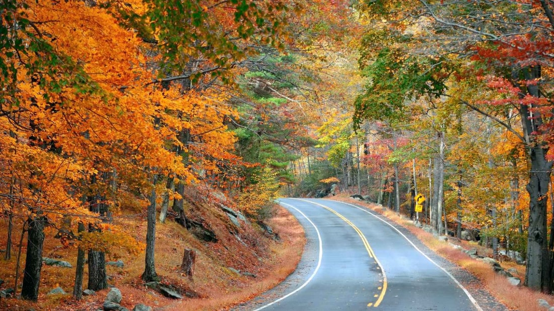 7 routes d'automne méconnues à découvrir absolument en France