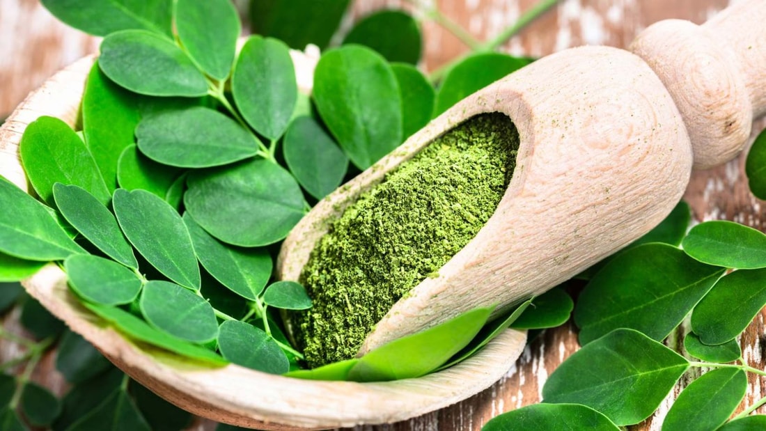 Le moringa, l'arbre miracle aux 92 nutriments qui régénère votre corps de la tête aux pieds