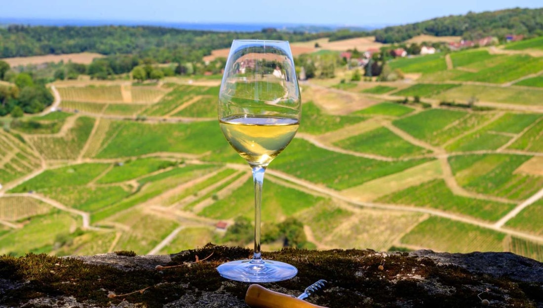 Les villages du Jura viticole : 2114 hectares de vignes et 1000 ans d'histoire