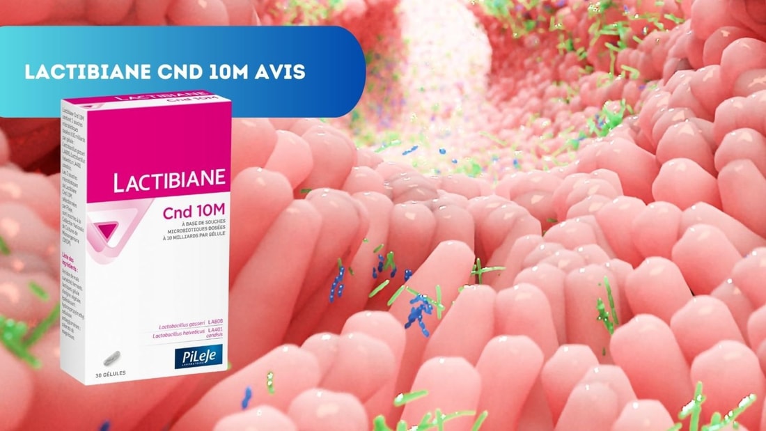 Avis experts Lactibiane Cnd 10M : redécouvrez les bienfaits des probiotiques