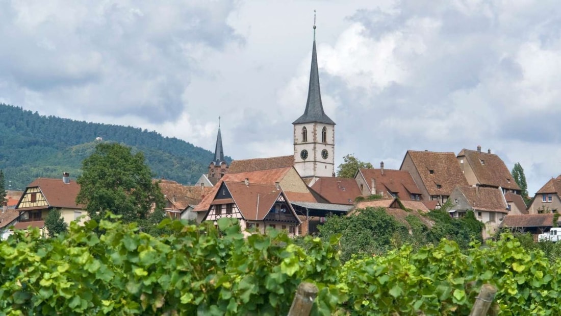 Ce village alsacien cache un trésor unique : le seul Grand Cru de Sylvaner au monde