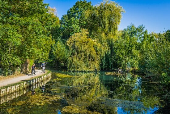 À 2h30 de Paris, ce marais de 135 hectares abrite plus d'espèces d'animaux que certains zoo...