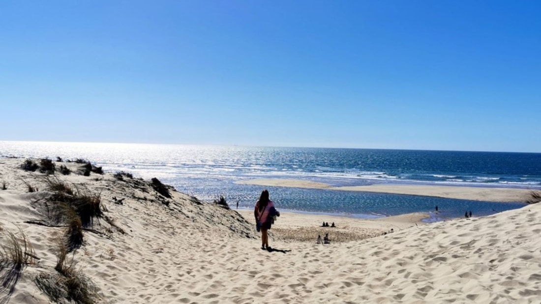 La Côte sauvage de Royan : un paradis pour les amoureux de randonnées et de nature