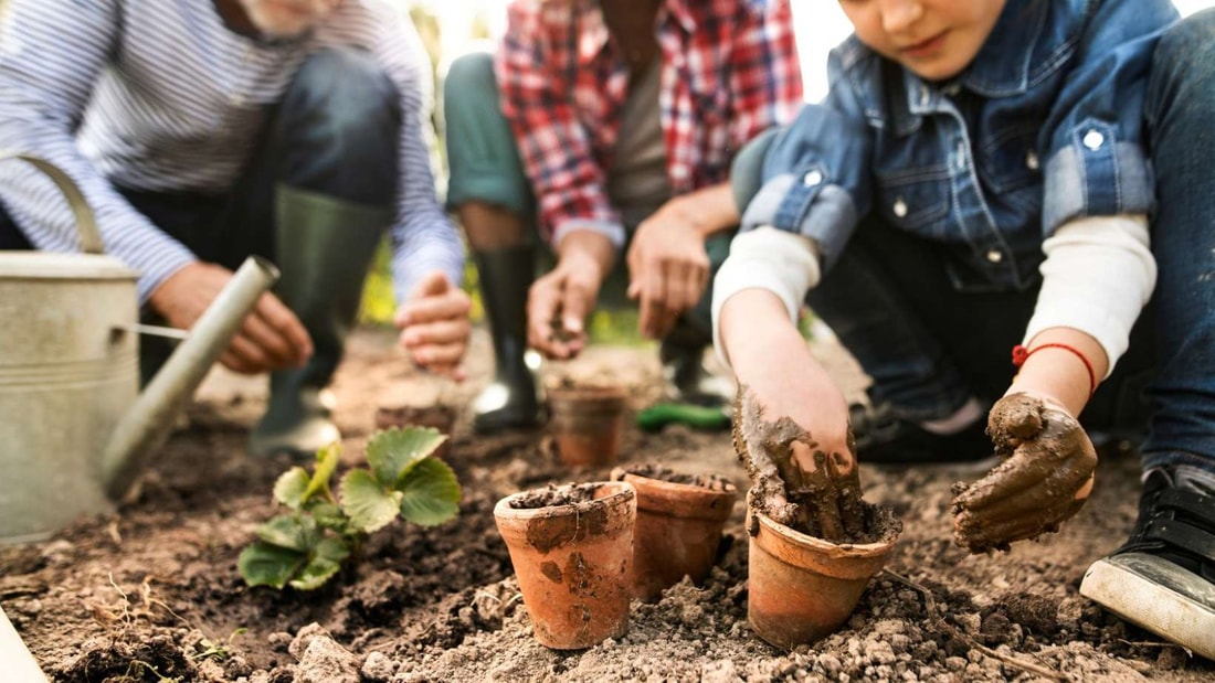 68% de légumes en plus dans votre potager grâce au marc de café