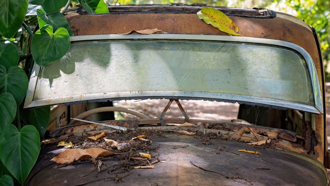 Combattez la rouille dans votre jardin sans produits chimiques