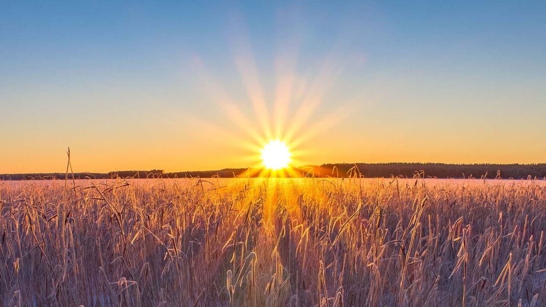 Dépression saisonnière : la vitamine D, lumière vers l'espoir et l'immunité cet hiver