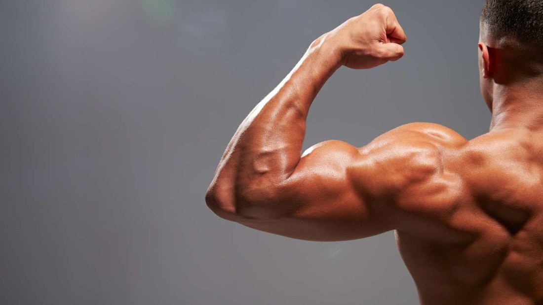 Protéines du Soir : Le Secret pour Booster vos Muscles pendant la Nuit ?