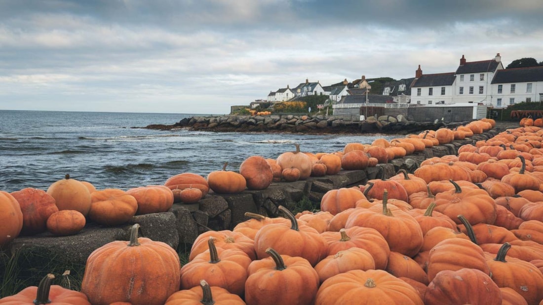 Ce hameau de 300 habitants déballe 3 tonnes de courges chaque automne sur la côte sauvage du Finistère