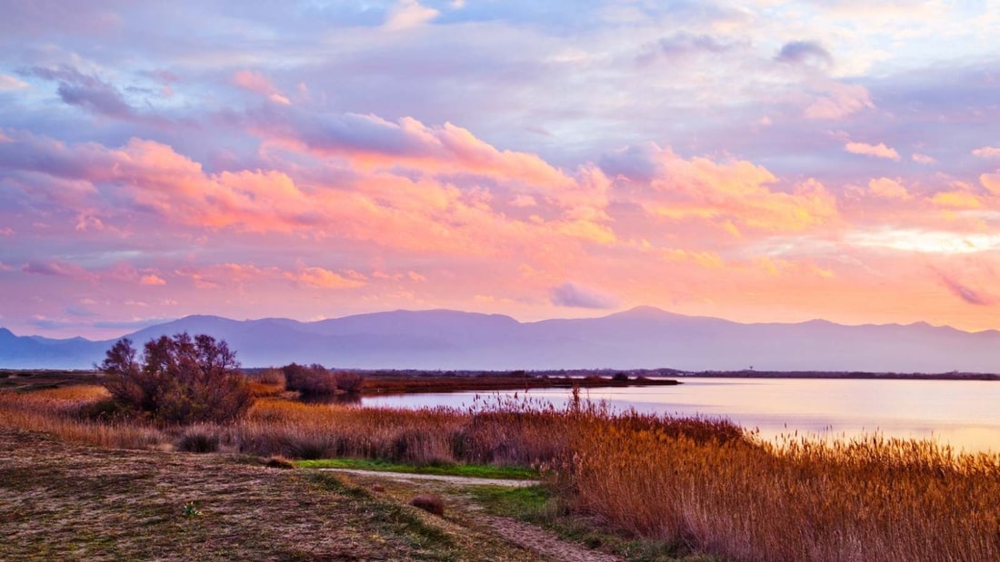 Le lac de 44 hectares au cœur de Saint-Nazaire qui attire 100 000 visiteurs par an