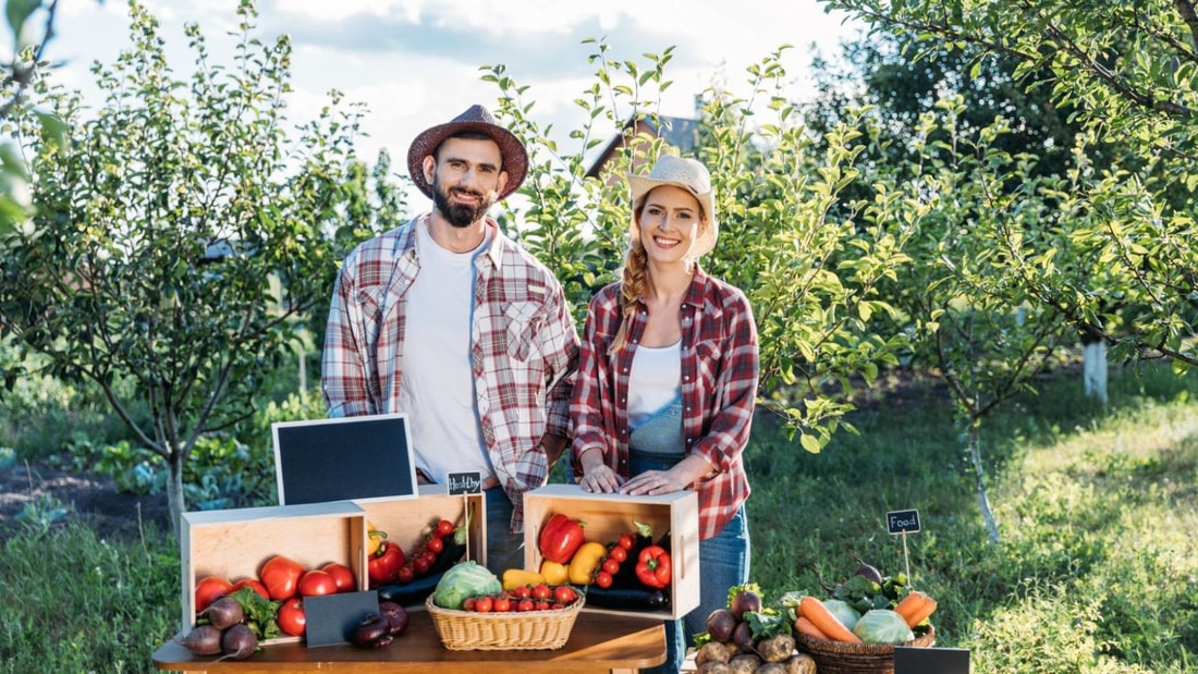 Un maraîcher révèle les 5 meilleurs légumes à planter durant le mois d'août