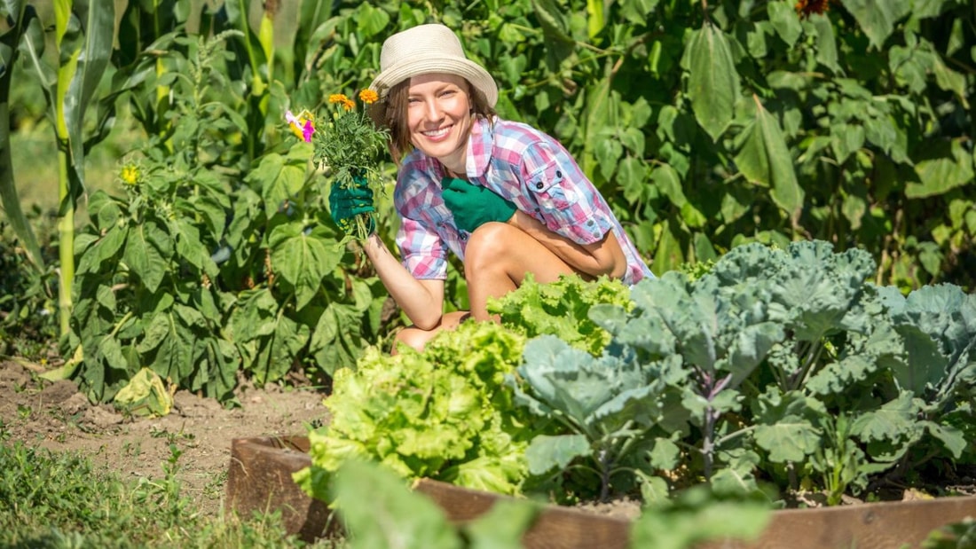 Les 9 erreurs de débutant à éviter pour un jardin luxuriant