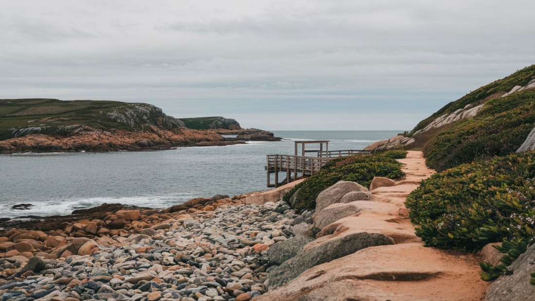 Cette île bretonne abrite le sanctuaire d'oiseaux le plus spectaculaire d'Europe