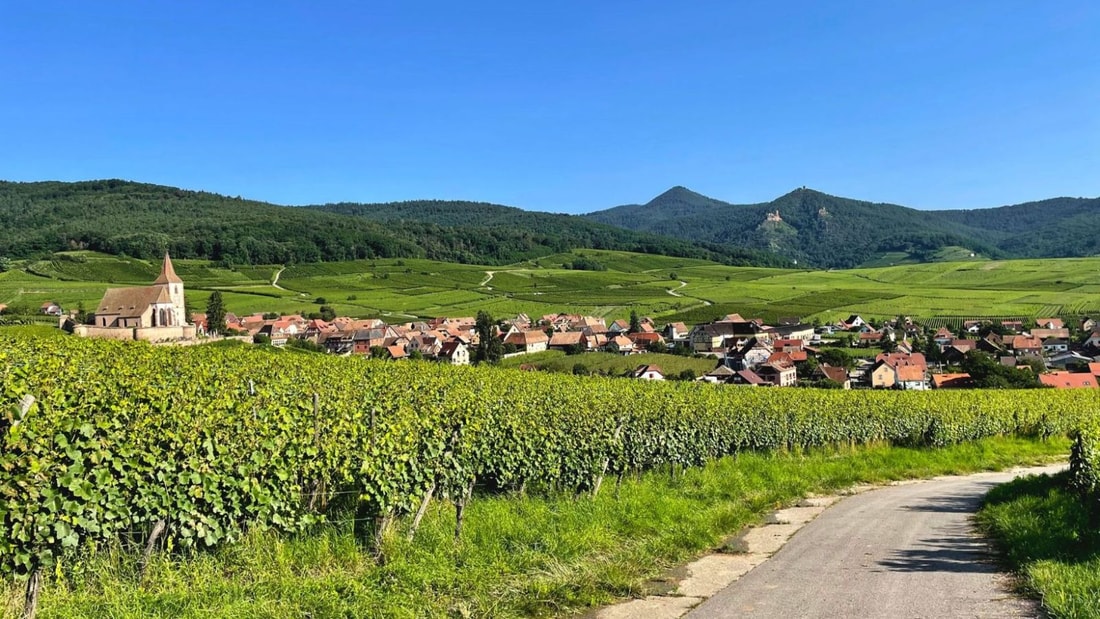 Ce bourg de 600 habitants produit l'un des meilleurs Rieslings de France