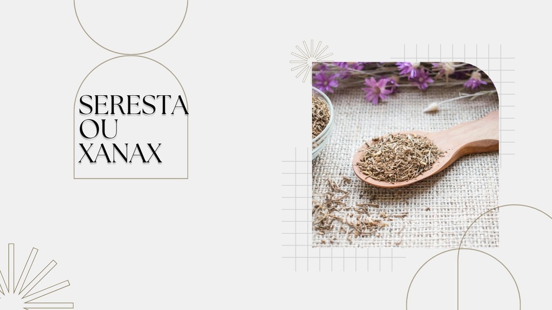 Seresta ou Xanax : Guide Complet pour Choisir le Bon Anxiolytique