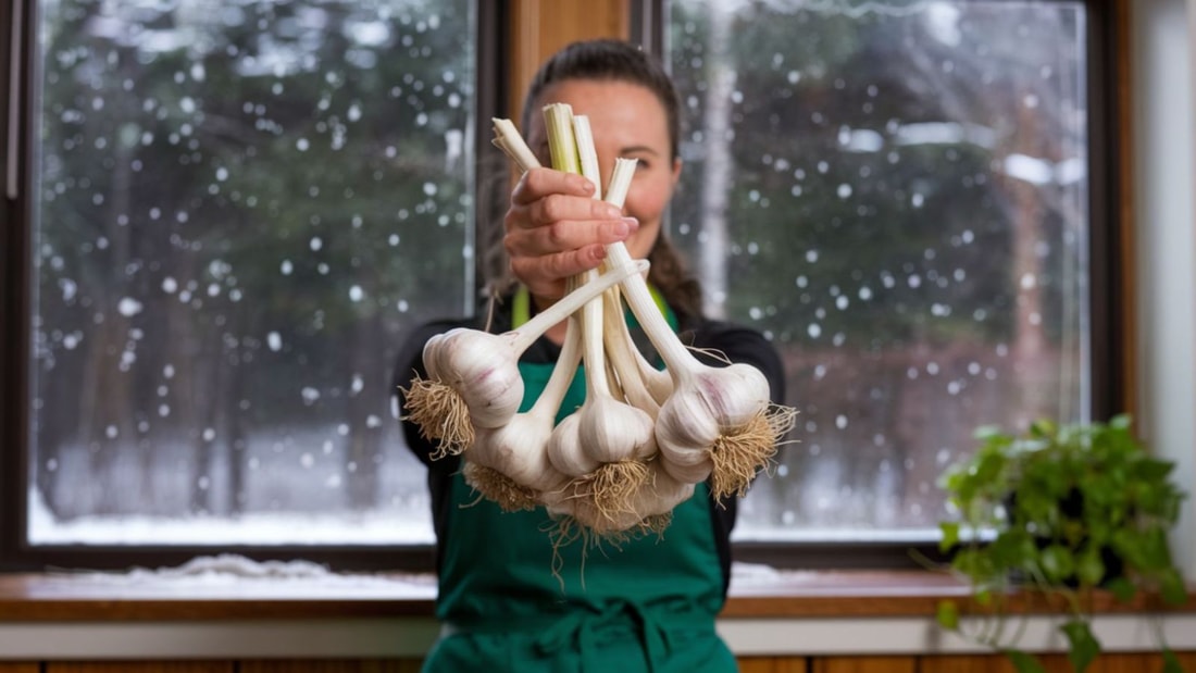 L'antibiotique naturel qui renforce vos défenses immunitaires en hiver