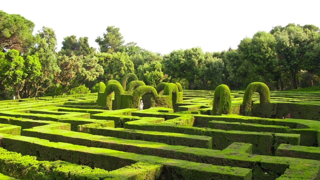 4 hectares de mystère : le labyrinthe qui fait tourner les têtes en Dordogne