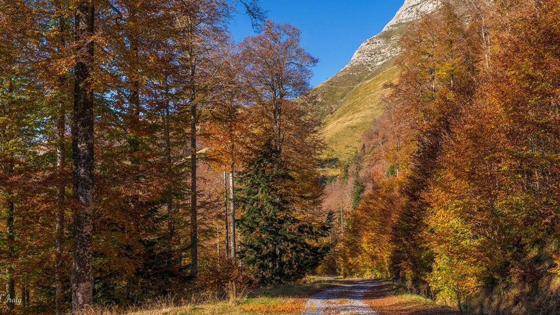 Cette forêt basque abrite des légendes vieilles de plus de 1000 ans