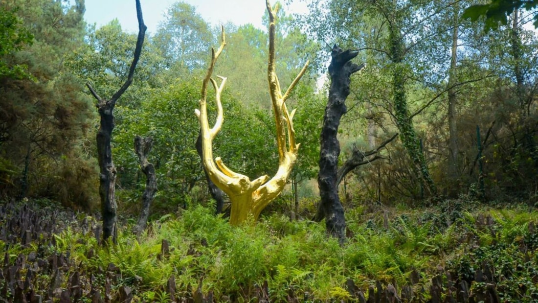 Plongez dans l'univers arthurien le temps d'une nuit magique dans cette forêt bretonne vieille de 8000 ans