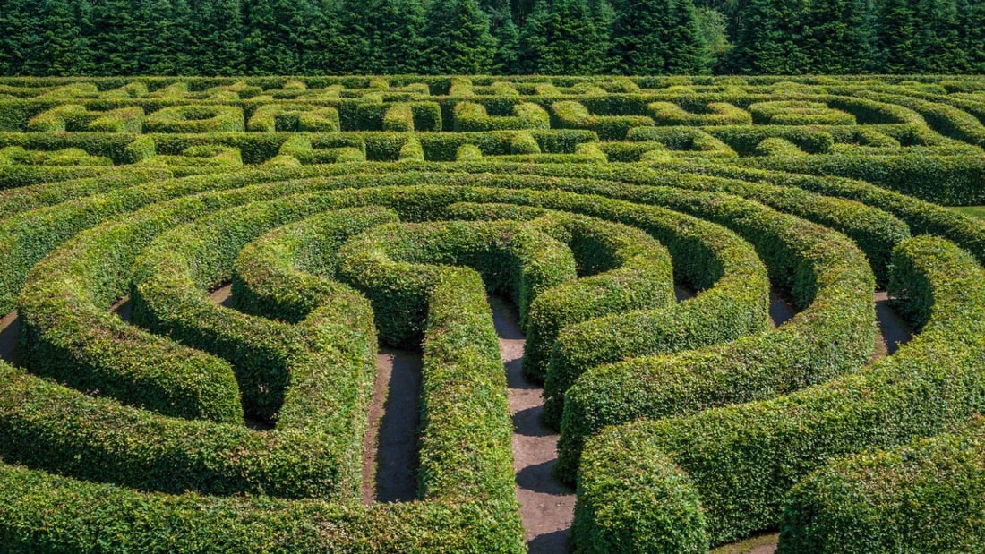 Guéret : le labyrinthe où se cachent d'étranges révélations