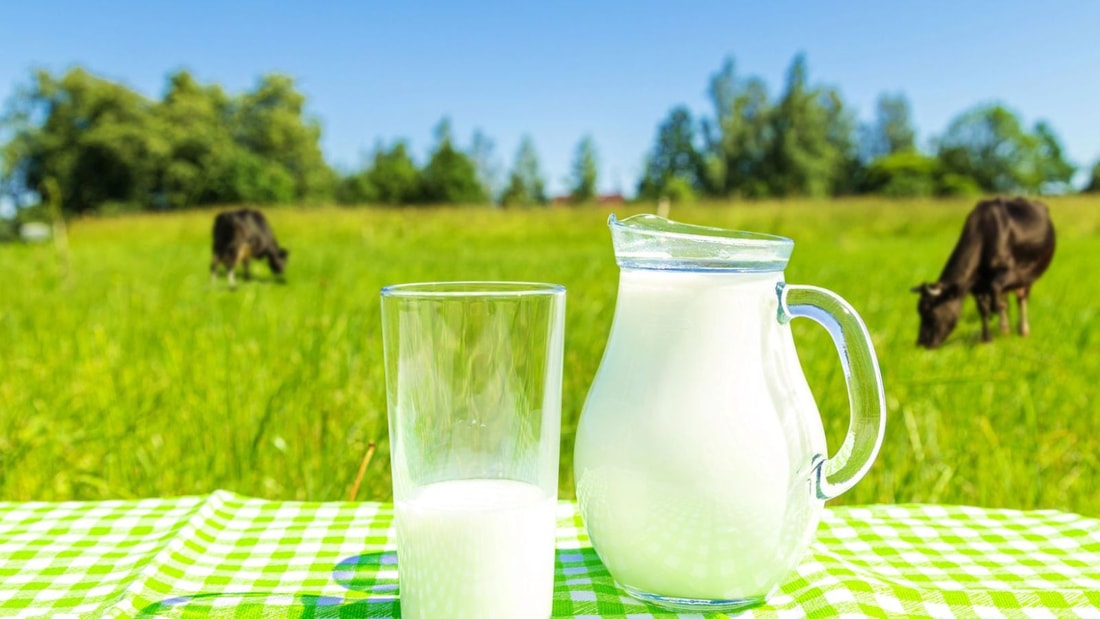 Le lait cru est-il vraiment 840 fois plus dangereux ?