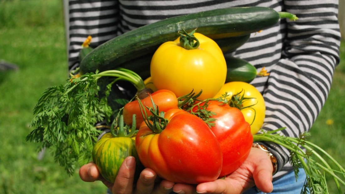 Autrefois apprécié pour son potassium, ce légume n'est plus consommé en France