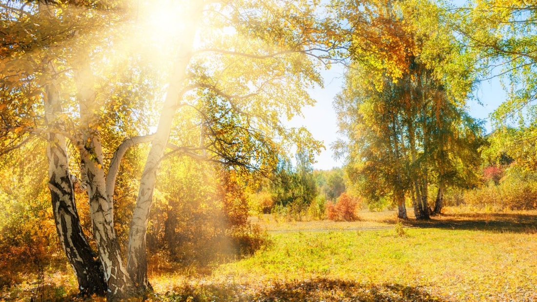 Pourquoi éviter le soleil pourrait être aussi dangereux que fumer