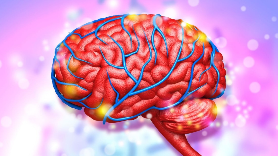 Le neurotransmetteur qui fait la différence entre Einstein et l'homme ordinaire