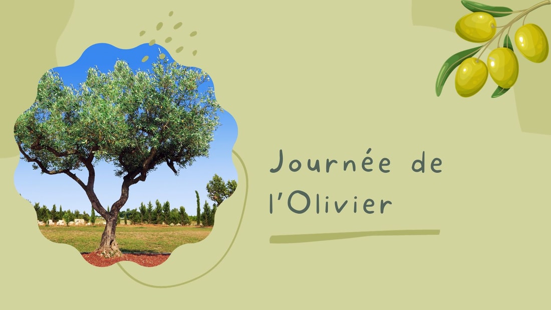 Olivier, Oh Là Là : Les Secrets Drôles et Sages de l'Arbre de la Paix !