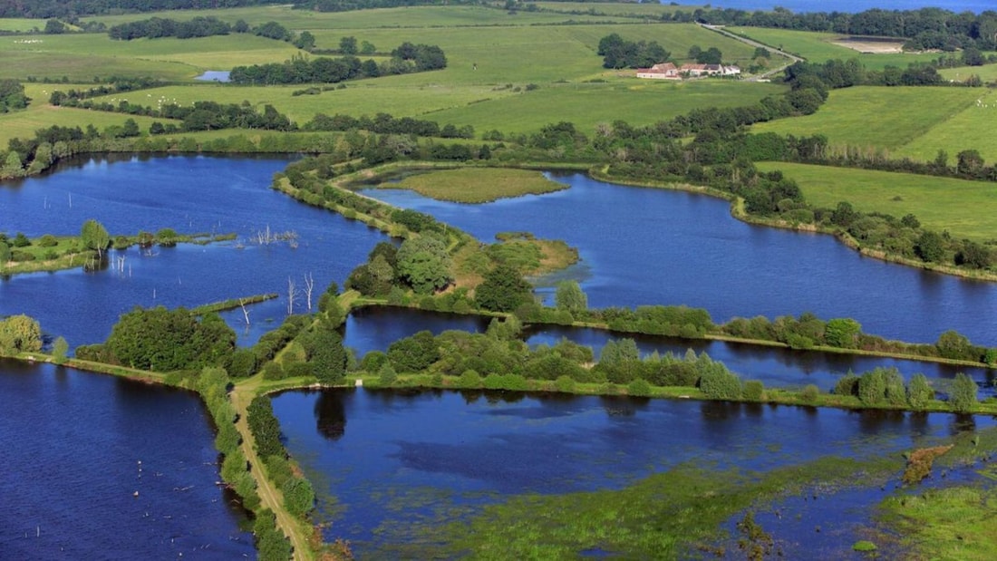 Quel parc naturel abrite plus de 3000 étangs, lui valant le surnom de 