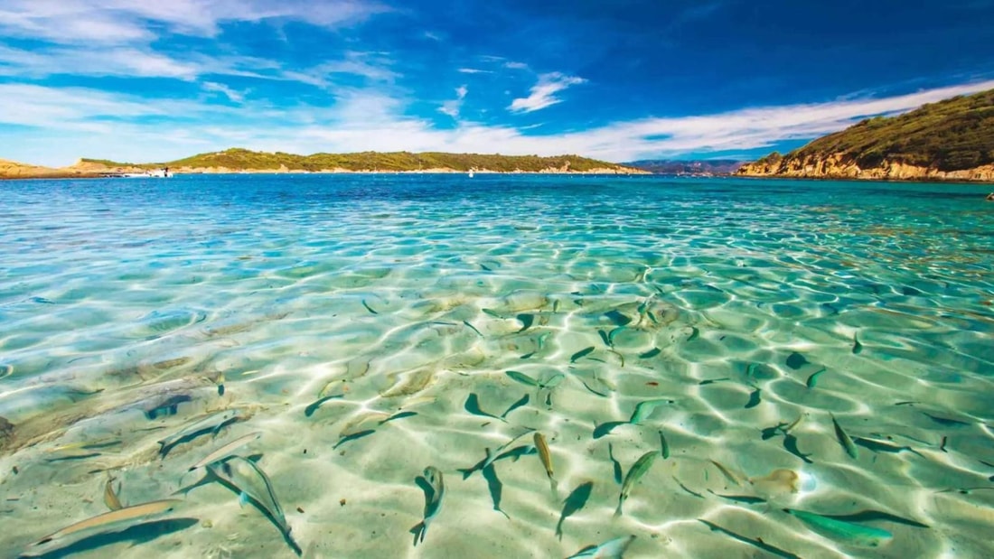 Quel est ce paradis naturel préservé sur la Côte d'Azur, premier de son genre en Europe ?