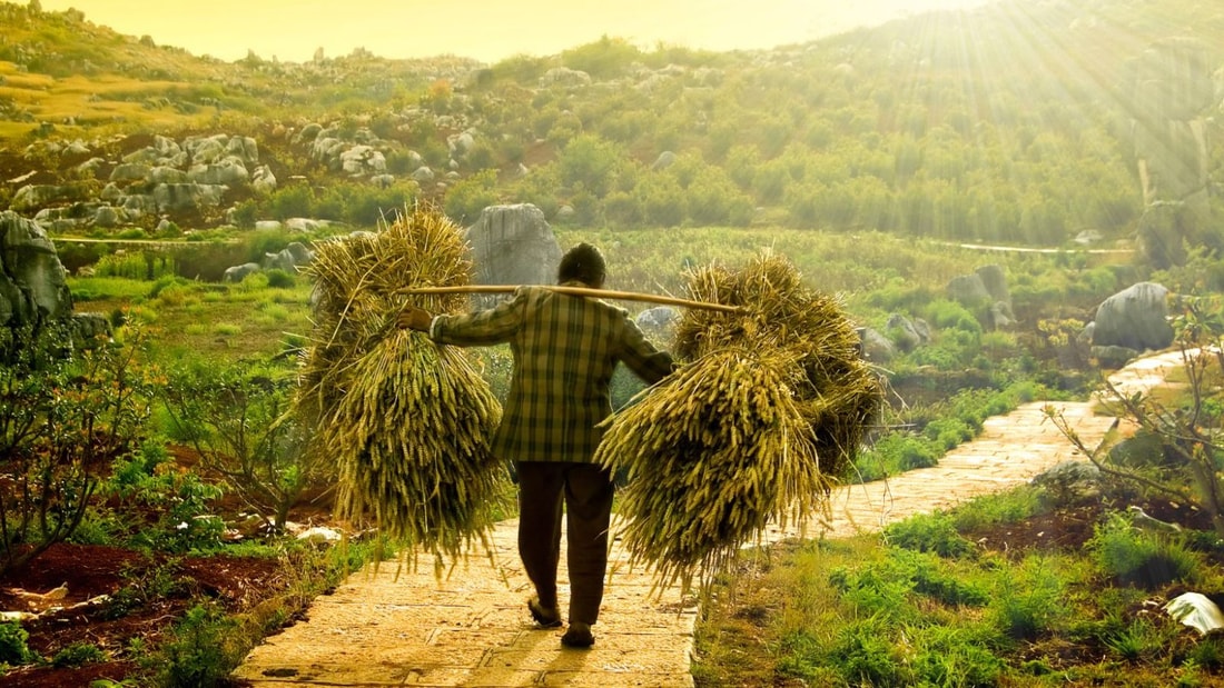 Le pays le plus pauvre du monde : les inégalités choquantes qui persistent