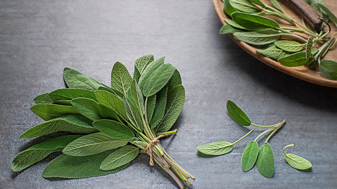 Cette plante aromatique qui fait transpirer les idées reçues sur la ménopause