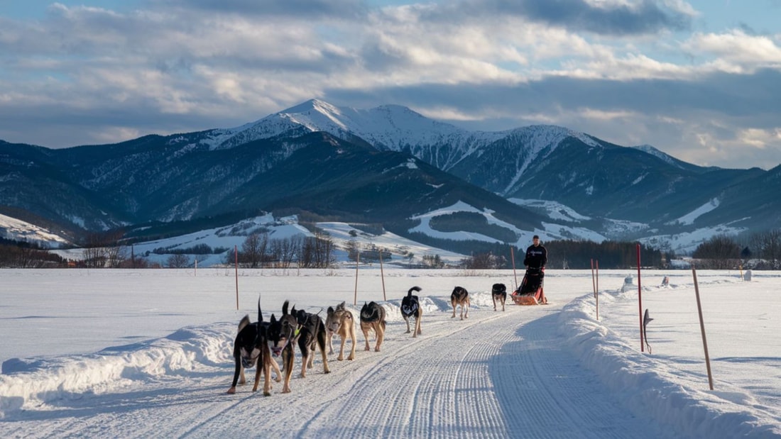 Cette destination à 1500m d'altitude est la référence européenne du traîneau à chiens