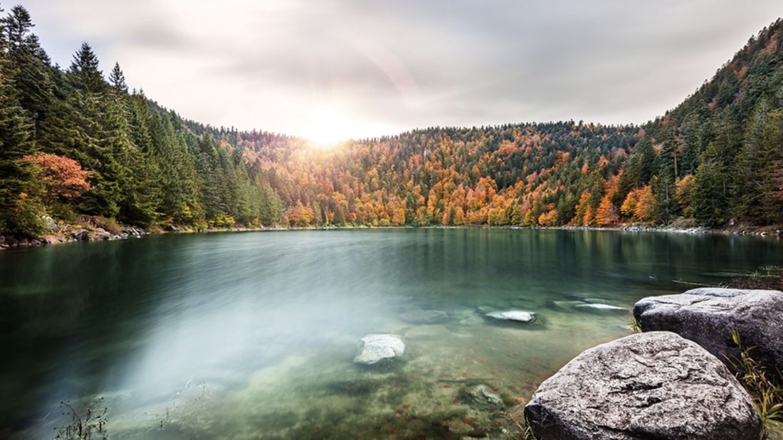 Les Vosges en feu : L'automne comme vous ne l'avez jamais vu