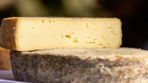 1200 tonnes de fromage par an : le potentiel caché des villages limousins