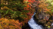 Forêt d'Agizoux: l'écrin naturel de la Cascade de la Beaume sur 2,1 km de sentier