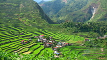 À Banaue, 2 récoltes de riz par an dans un climat entre 15°C et 25°C