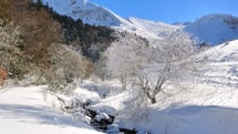 Le Massif Central sous -15°C : 5 villages médiévaux à visiter à 1400m d'altitude