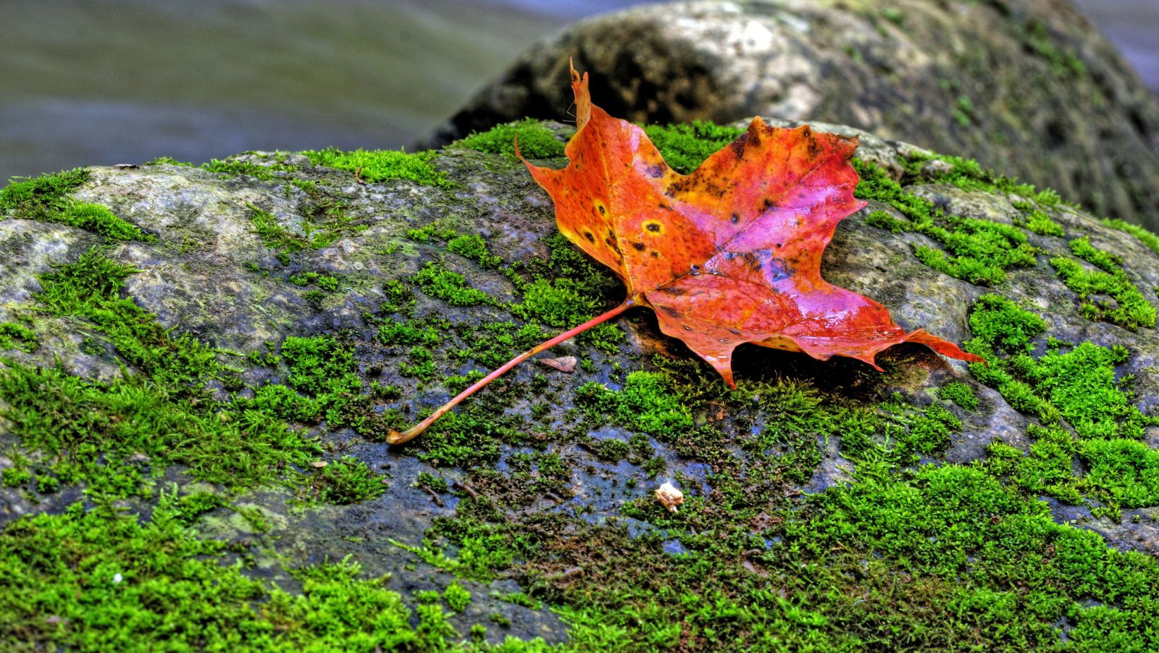 Fall Equinox