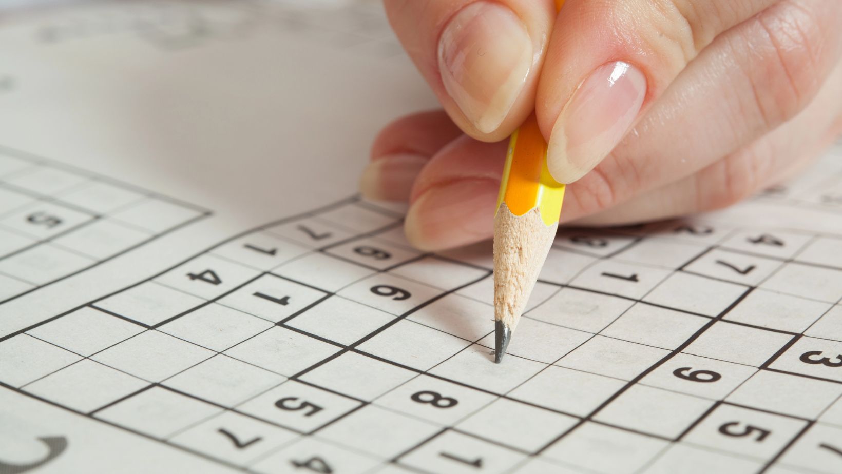 International Sudoku Day