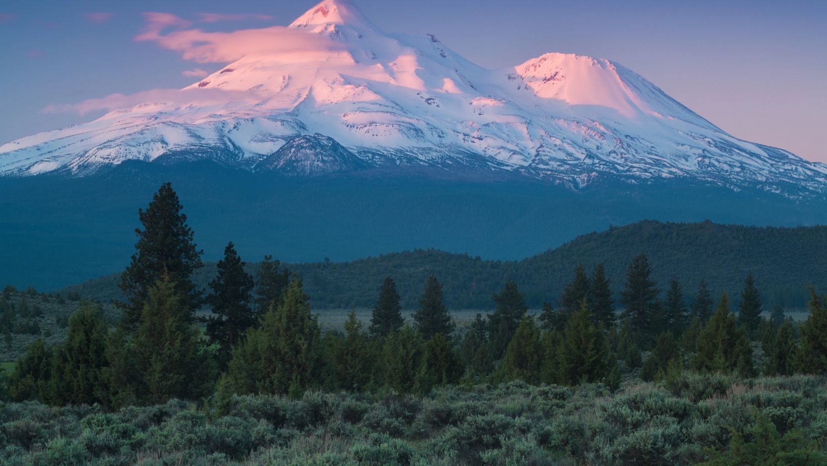 Strange dead zones are expanding on this tourist mountain