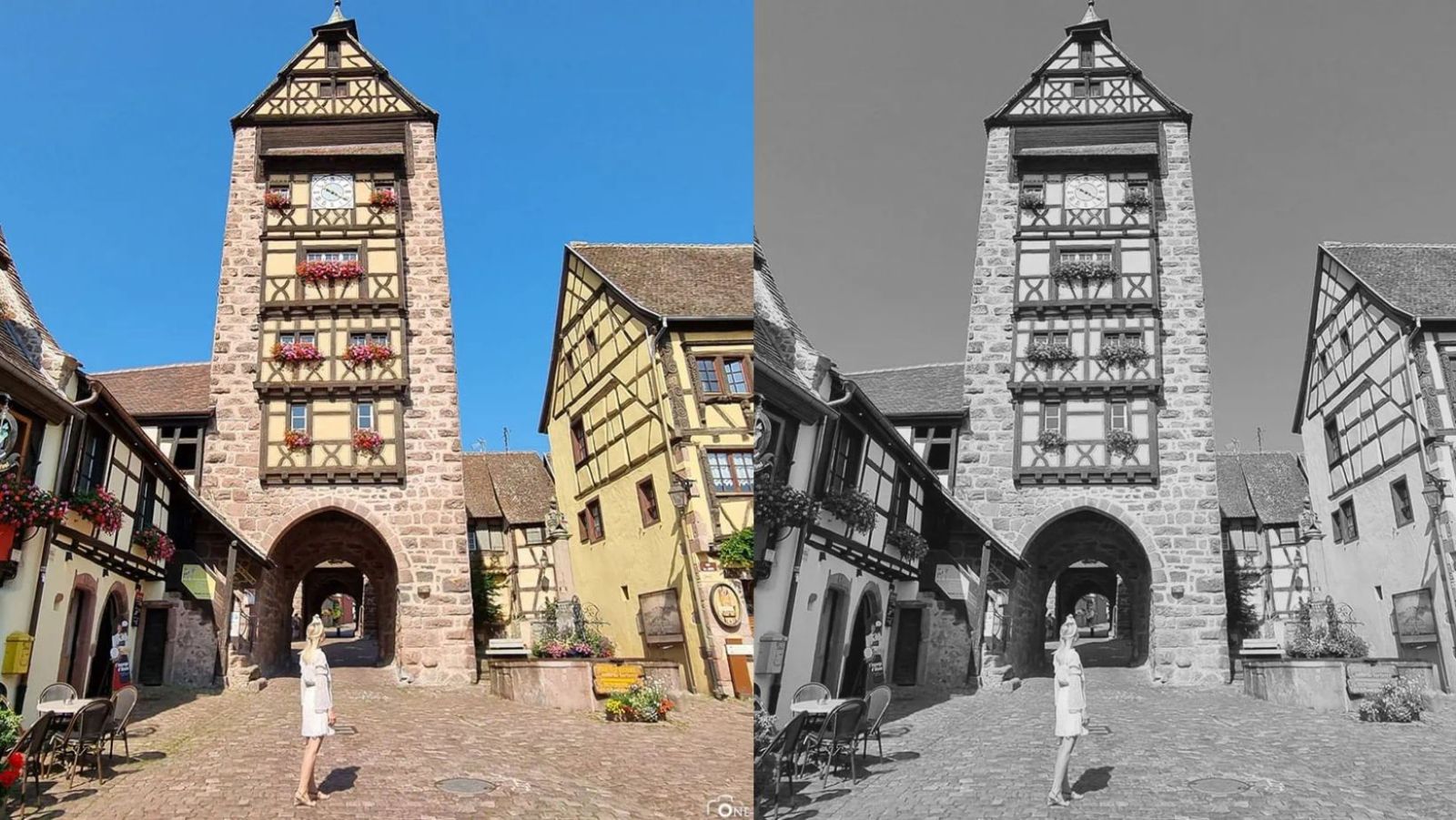 Découvrez les 3 grands crus d'Alsace dans ce village aux 350 000 bouteilles produites chaque année