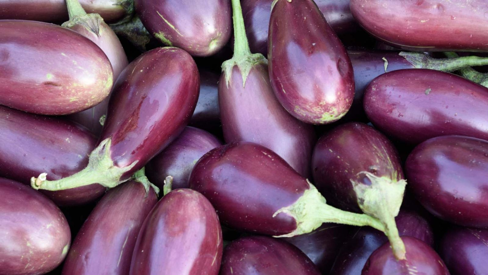 Comment 200g d'aubergine par jour peuvent transformer votre santé cardiaque