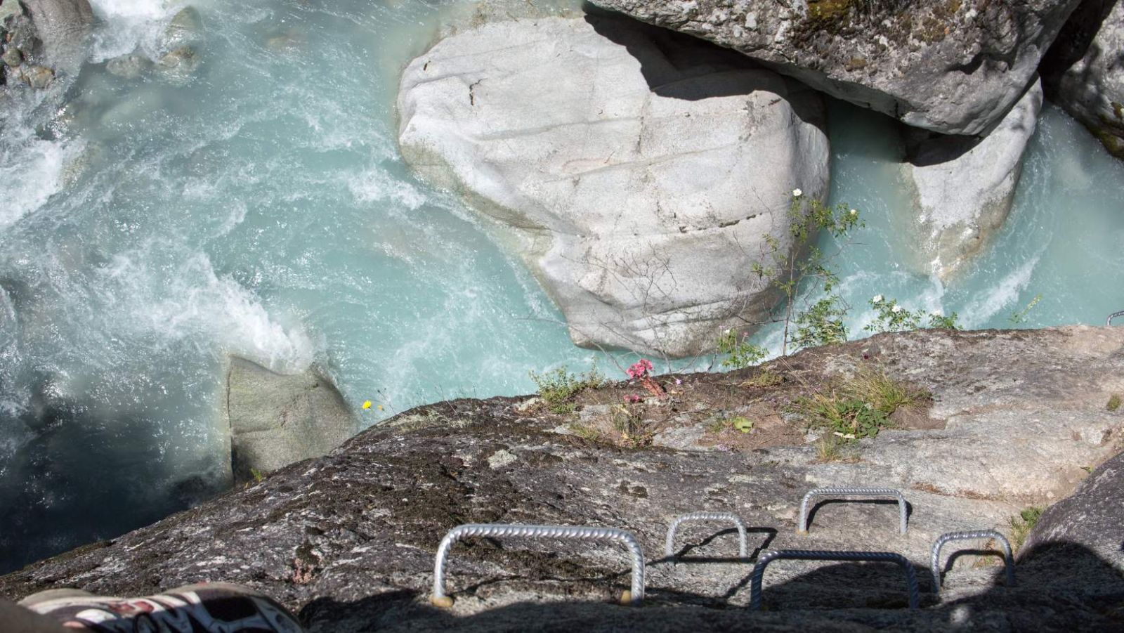 Via ferrata au-dessus de l'eau : l'activité à sensations qui attire 5000 visiteurs par an