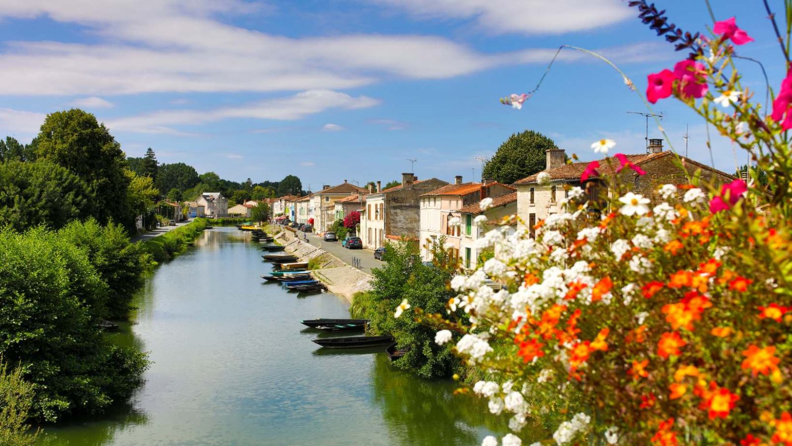 Venise Verte : 18 000 hectares de forêt alluviale classés par l'UNESCO