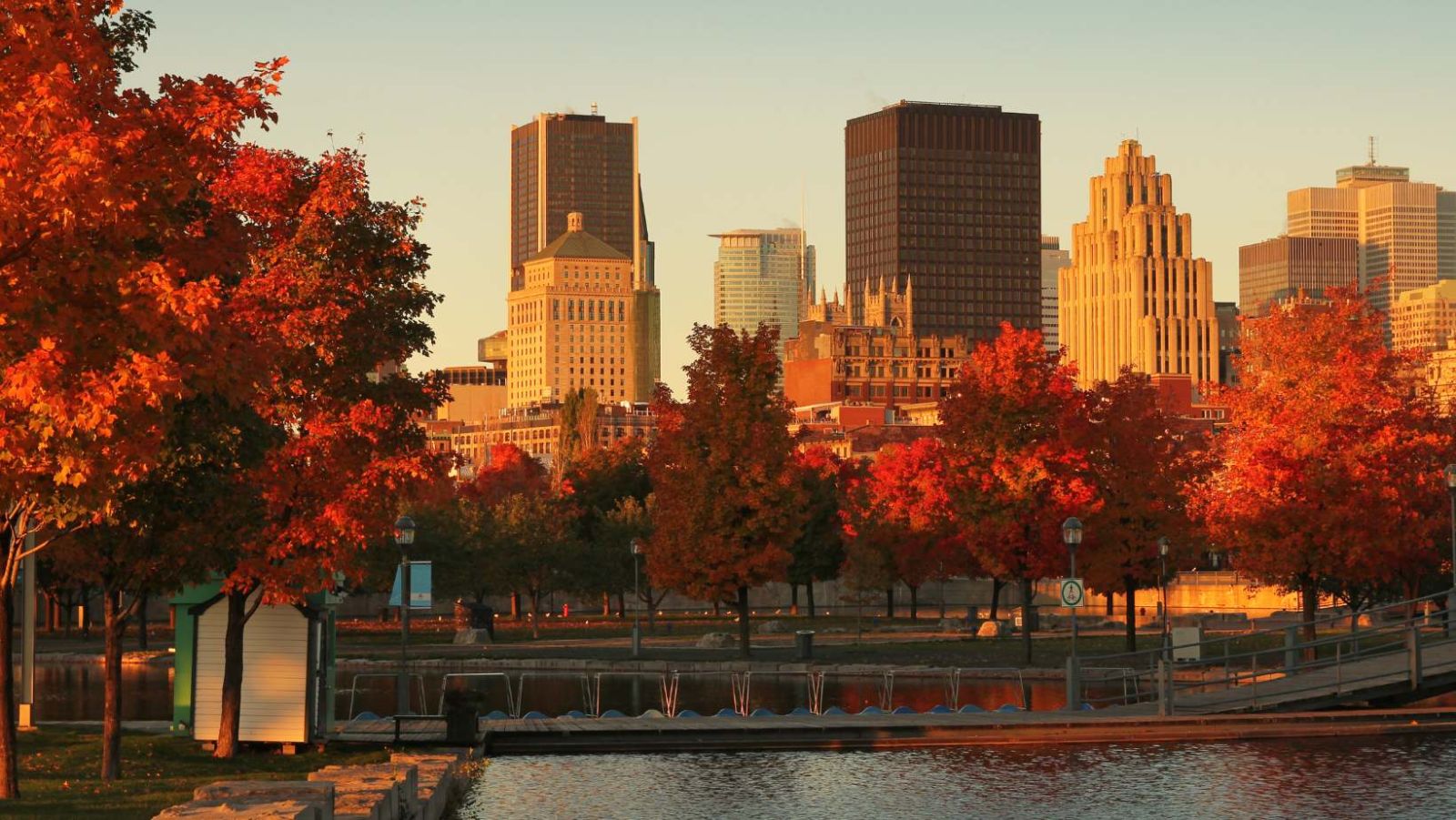 De -30°C à +30°C l'autre visage de Montréal : au-delà des clichés, une ville qui ne dort jamais