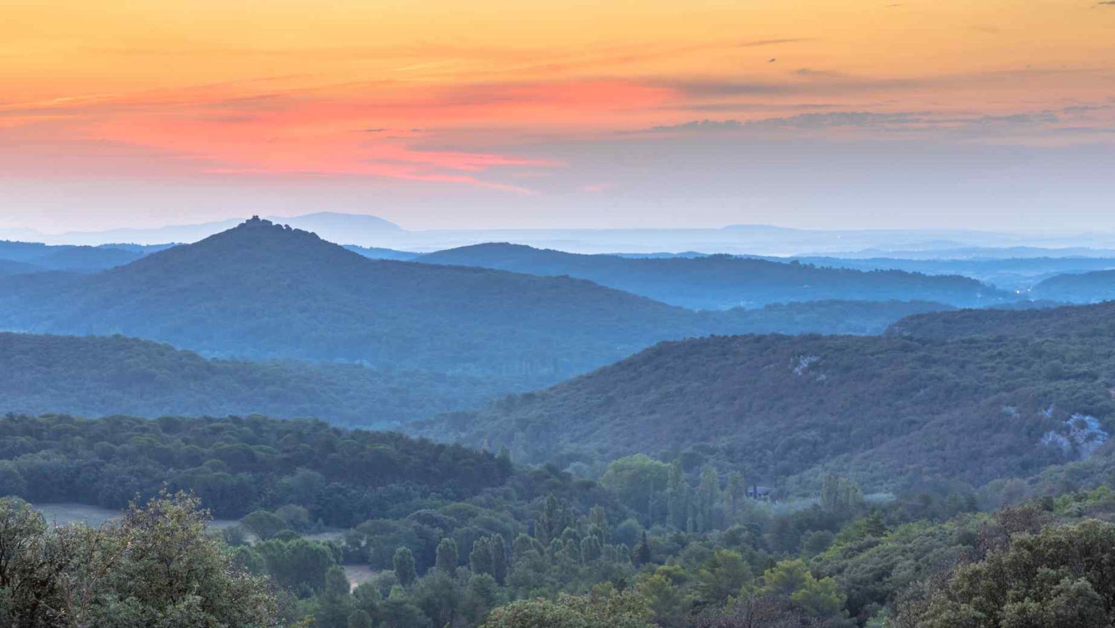 Le Parc National des Cévennes : 3000 km² de nature préservée au cœur de la France